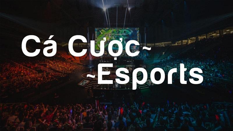 Cá cược Esports