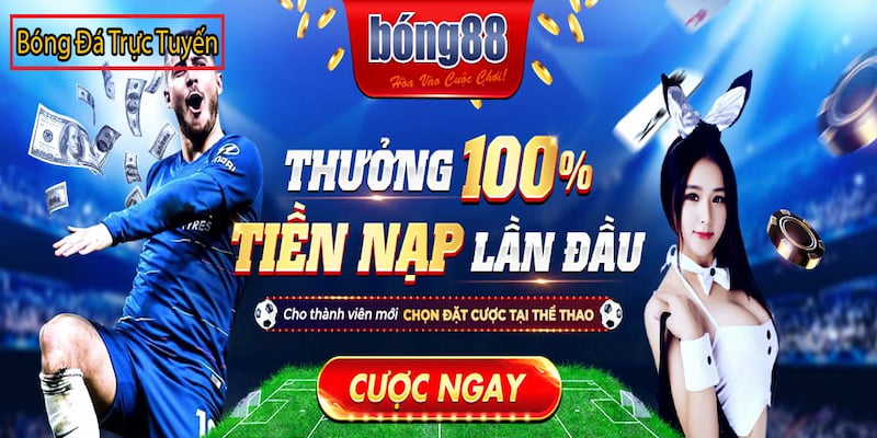 Cách Chơi Bong88link Cho Người Mới Bắt Đầu